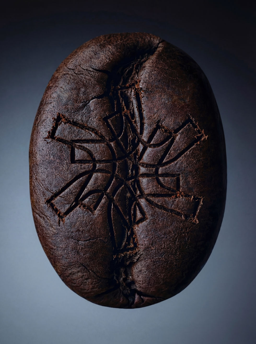 Generated Image January 04, 2026 - 7_37PM.jpeg