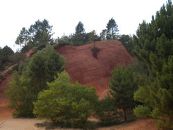 Colorado Provencal 1