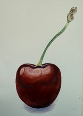 watercolor cherry, botanical watercolor, watercolor painting