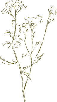 Layer 6.png
