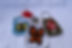image0 (11).jpeg