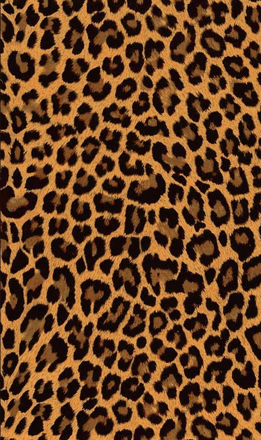Leopard.jpg