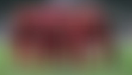 Catar entra en la lista de anfitriones eliminados en primera ronda