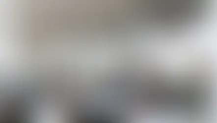 Matecaña Airport mobilizes 8 of 10 passengers in the Coffee Region