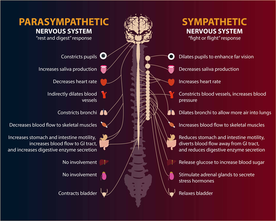 trauma response