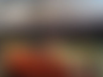 Convenção no estado de São Paulo