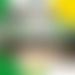 CONVENÇÃO ESTADUAL SERGIPE 2025