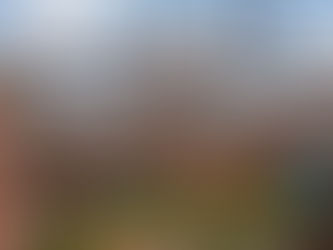 FORÇA-TAREFA IOBPC ACRE