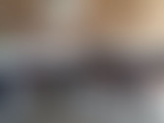 Convenção Estadual de Santa Catarina 2017