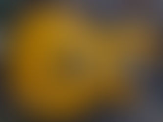 Pickup Swaps: The Cheapest Way to Get a "New" Guitar