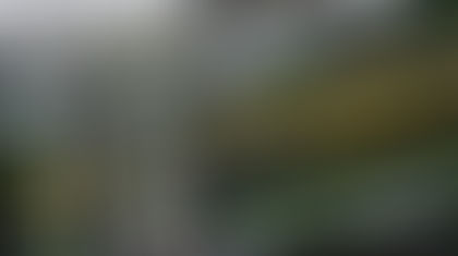 RUGBY: ’n Vervoerongeluk dwing die uittrede van die Sesnasies-trofee