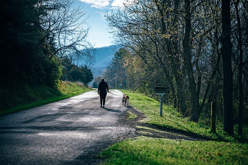 Elizabethanddog