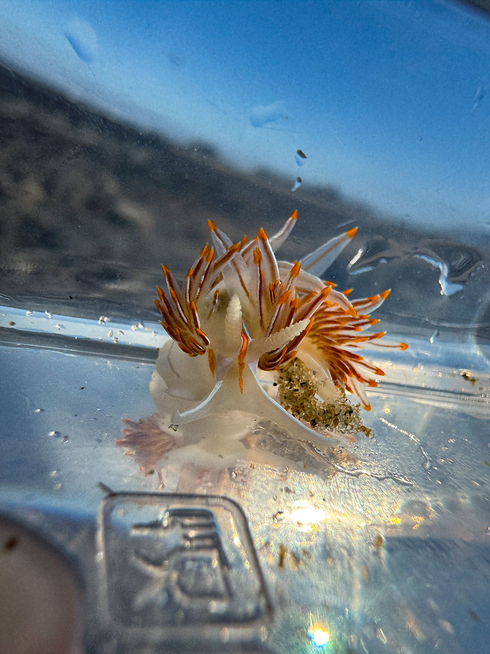 84F5CC72-BEEC-4075-8678-9F862C988E52