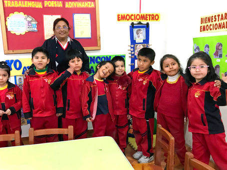 EMOCIONES: FUERZA VITAL EN LA CONVIVENCIA