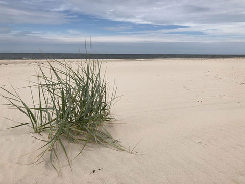 Pogorzelica plaża (3).jpg