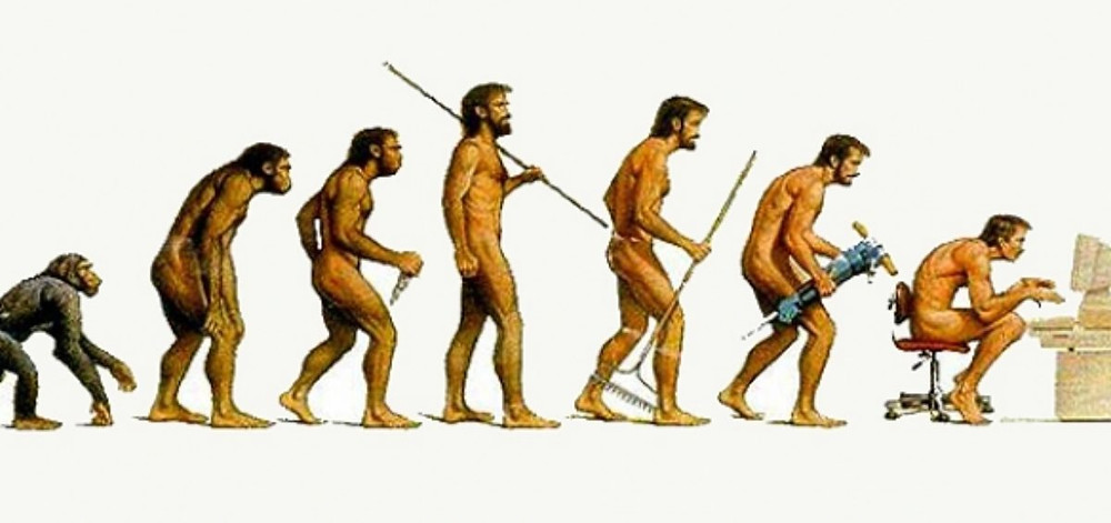 homo sapiens devant son ordinateur...ça manque de tenue !