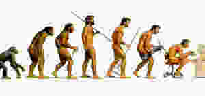 homo sapiens devant son ordinateur...ça manque de tenue !