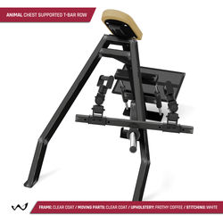 43487572_10155520982262102_2866851237985255424_n