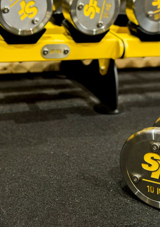 STARKS FITNES DUMBELL.jpg