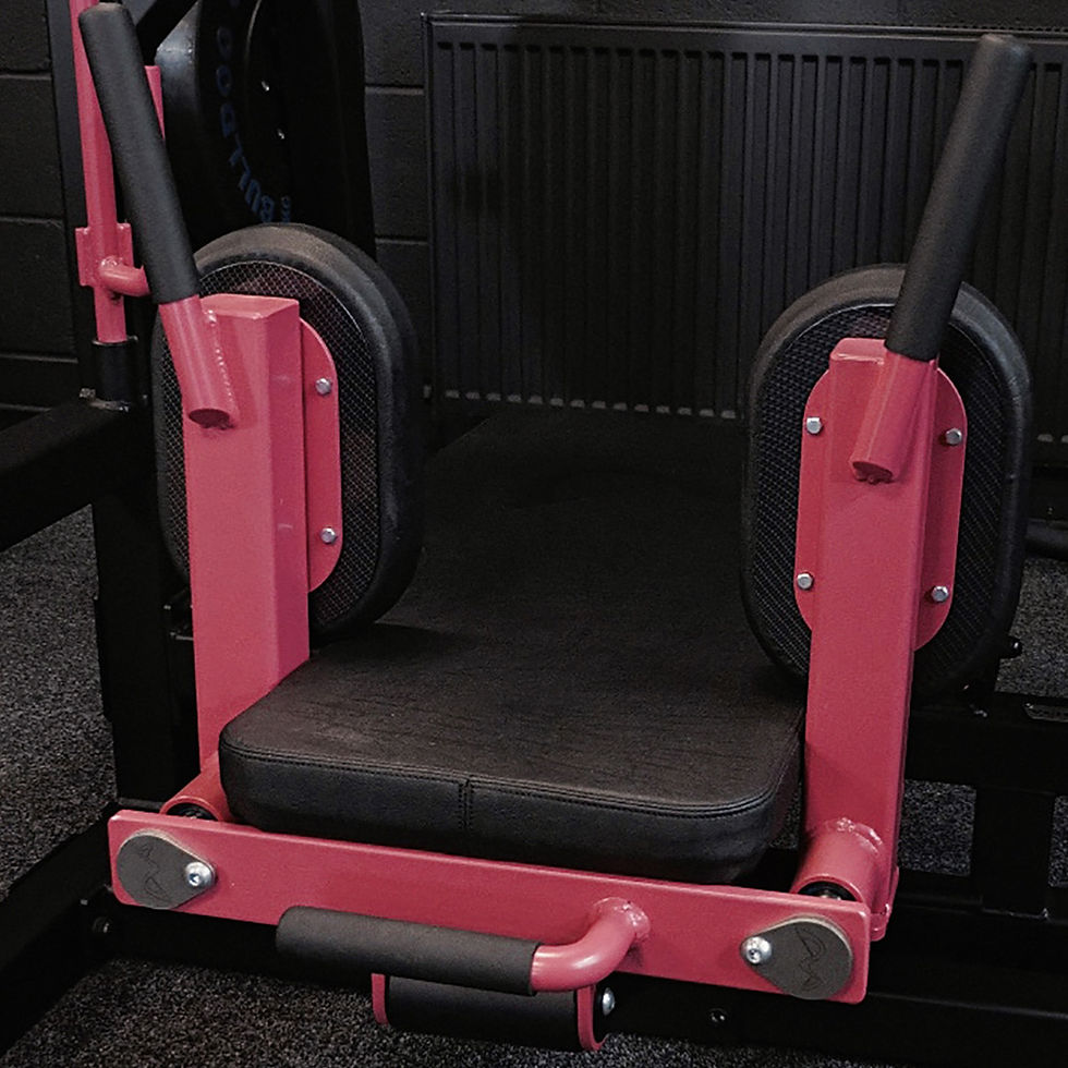 Miniature : Vertical Leg Press