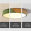 Thumbnail: LED Ceiling Light 13W 230MM Green Dimmable Warm White Modern Home Lamp