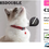 Thumbnail: Reflective Adjustable Cat and Small Dog Collars with Bells 2 Pack