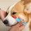 Thumbnail: IPC Pet Tear Marks Comb Brush for Cats and Dogs, Eye Excrement Cleaner, Soft Kno