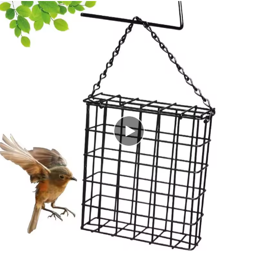 Metal Suet Bird Feeder Cage Black Outdoor Wire Bird Food Holder Quick Delivery