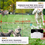 Miniatúra: Wireless Dog Fence & Training Collar Beep Shock Vibration for All Sizes