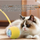 Thumbnail: Automatic Cat Teasing Ball Toy, Interactive Rolling Ball with Tail for Cats
