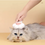 Thumbnail: Cat Grooming Brush Pet Hair Remover Comb for Cats Dogs Puppies with Paw Style