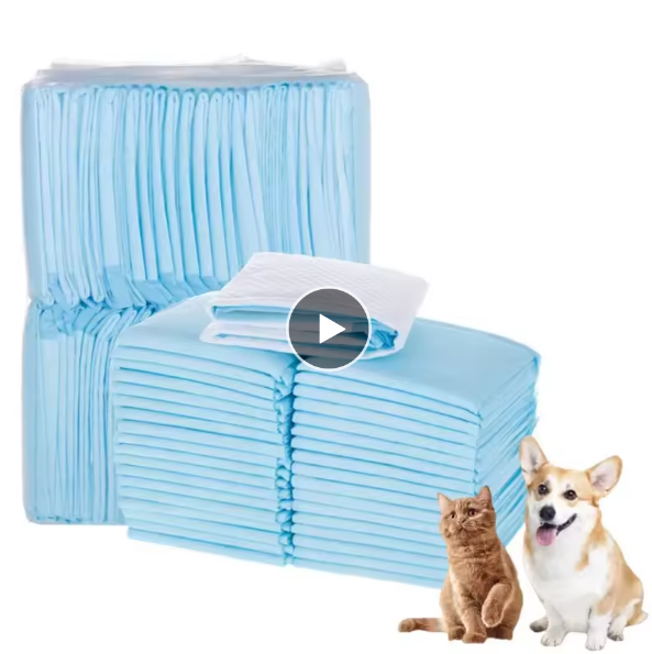 Absorbent Dog Diapers Disposable Puppy Training Pee Pads Quick Dry Mat