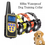 Miniatúra: 800m Waterproof Dog Training Collar