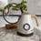 Thumbnail: 220V Electric Kettle with Temperature Display, Fast Heating, Water Boiling Pot f