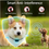 Thumbnail: Ultrasonic Anti Barking Dog Collar Waterproof Vibration Electric Training Device
