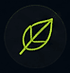 PICTURE 4.png