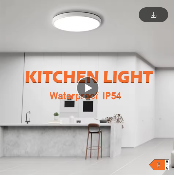 Waterproof LED Ceiling Light 30W 40W for Bathroom Kitchen Balcony Modern Lamp