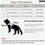 Miniatúra: Tactical Dog Harness Military Adjustable Vest Pet Training Set for Small Medium