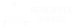 Design ohne Titel (25).png
