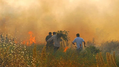More than 600 people evacuated as wildfires rage across Italy's Sardinia
