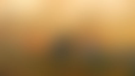 More than 600 people evacuated as wildfires rage across Italy's Sardinia