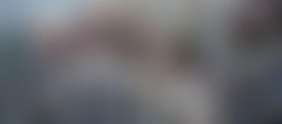 Germany wants more women in the military