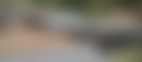 Migratory wildlife in shocking decline, UN report reveals