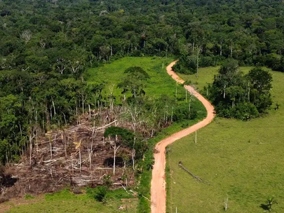 Brazil records five-year low in Amazon deforestation