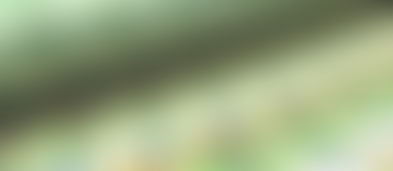 ECB leaves interest rates unchanged as markets falter