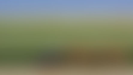 Brussels wants to relax rules for gene edited crops