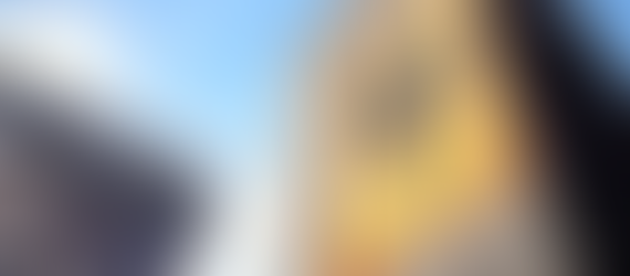 Germany's top court orders 2021 election rerun in Berlin