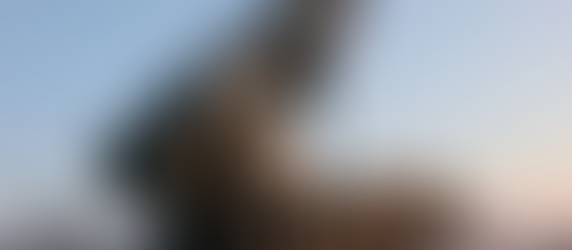 Kim Jong Un calls for expanded missile launcher production