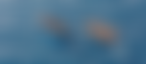 Albania ratifies migrant deal with Italy