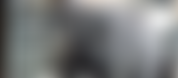 Philippines' elephant Mali dies after decades alone